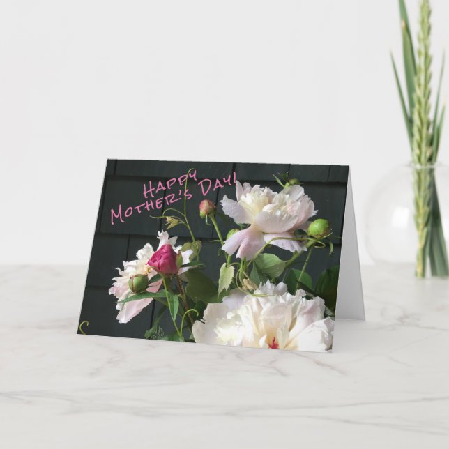 Rosa Peony Mor's Day Card Kort (Framsida)
