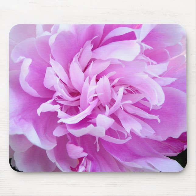 Rosa Peony - Mousepad Musmatta (Framsidan)