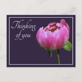 Rosa Peony Navy Färg tänker på dig Vykort