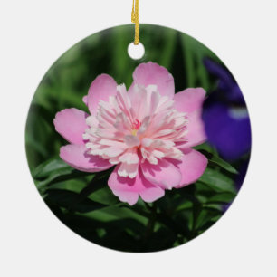 Rosa Peony ornament