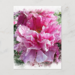 *~* Rosa Peony Painting Artistic Impressionism AR1 Vykort