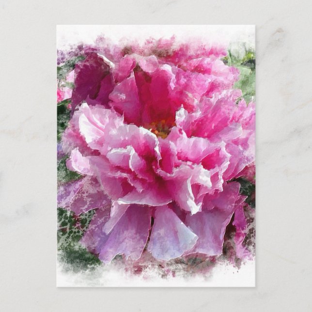 *~* Rosa Peony Painting Artistic Impressionism AR1 Vykort (Framsida)