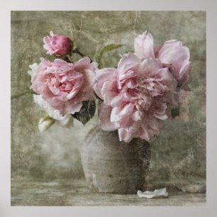 *~* Rosa Peony Painting still Life Art AR23 Poster