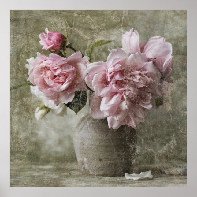 *~* Rosa Peony Painting still Life Art AR23 Poster (Framsidan)