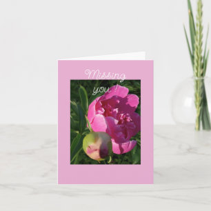 Rosa Peony - Saknar Dig Kort