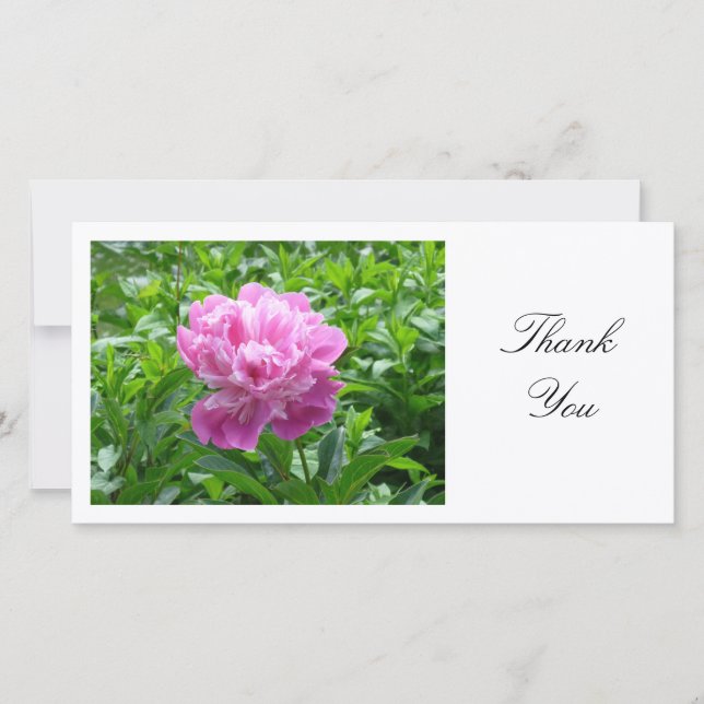 Rosa Peony - Tack Kort (Framsida)