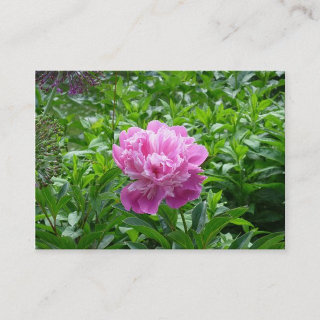 Rosa Peony Visitkort (Framsida)