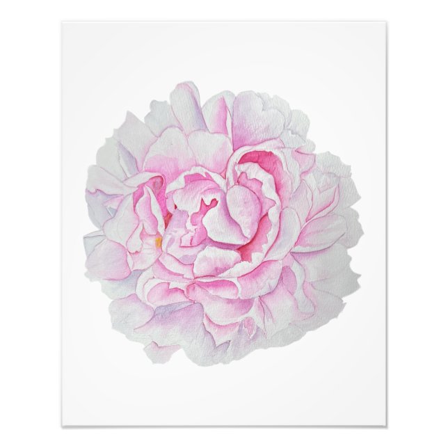 Rosa Peony Watercolor Blomma Affisch Fototryck (Framsidan)