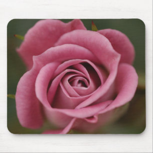 Rosa perfektion Mousepad Musmatta