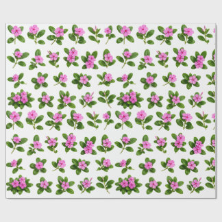 Rosa Periwinkle Blomma Botanisk Set Sadabahar Presentpapper
