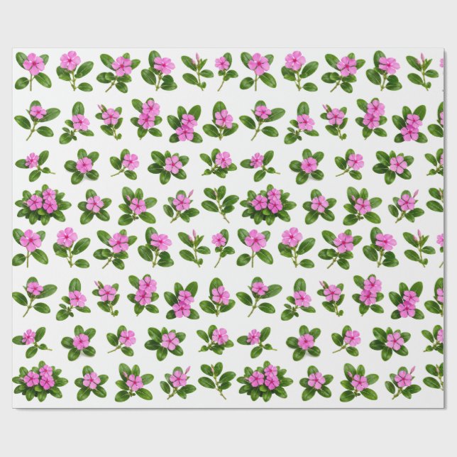 Rosa Periwinkle Blomma Botanisk Set Sadabahar Presentpapper (Platt)