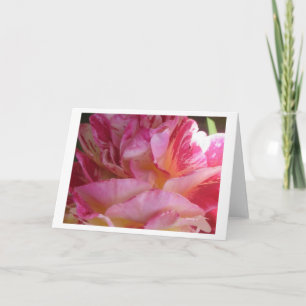 Rosa Petal Flutter Ro Hälsning eller Note Cards Kort