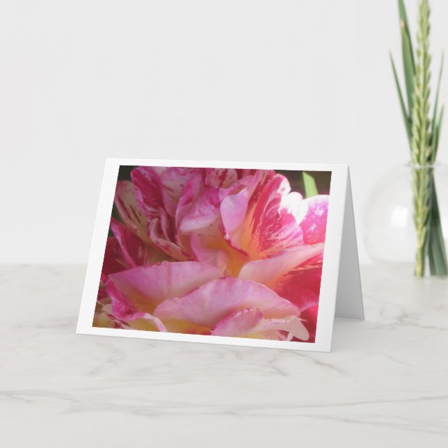 Rosa Petal Flutter Ro Hälsning eller Note Cards Kort (Framsida)