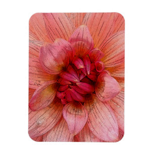 rosa petaler magnet