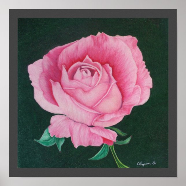 Rosa Petals 12 x 12 tum Skriv ut Poster (Framsidan)