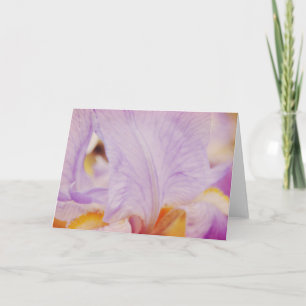 Rosa Petals Dream Abstrakt Art Note Card Kort
