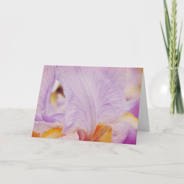 Rosa Petals Dream Abstrakt Art Note Card Kort (Framsida)