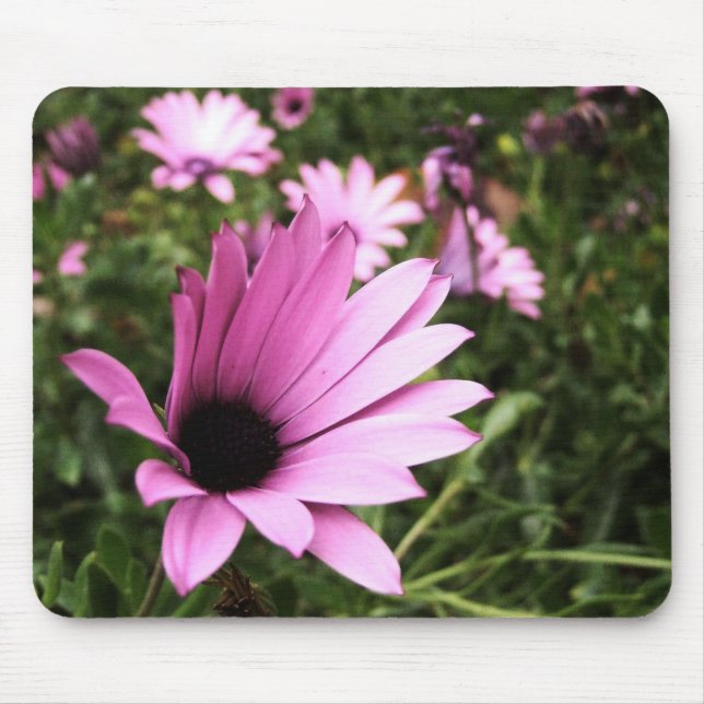 Rosa Petals Flower Mousepad Musmatta (Framsidan)