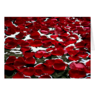 ROSA PETALS PÅ VATTEN HÄLSNINGSKORT