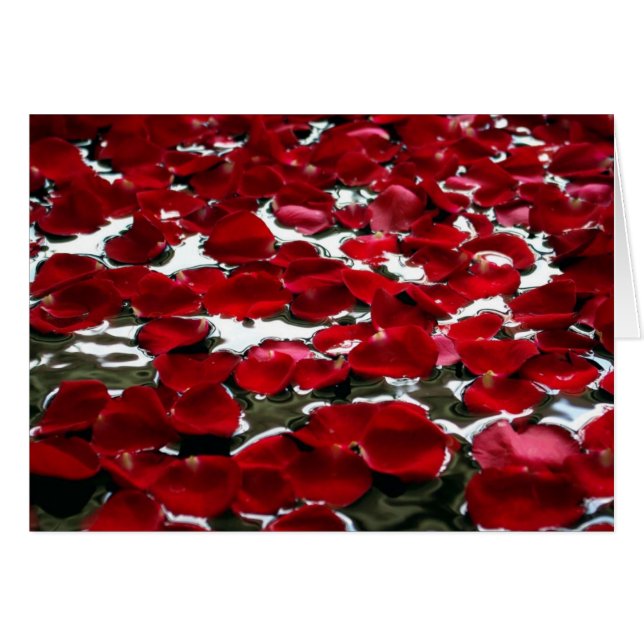 ROSA PETALS PÅ VATTEN HÄLSNINGSKORT (Framsidan Horizontal)