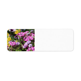 Rosa petunia-adressetikett returadress etikett