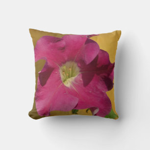 Rosa petunia blomma, nästan enfärgat rosa kudde
