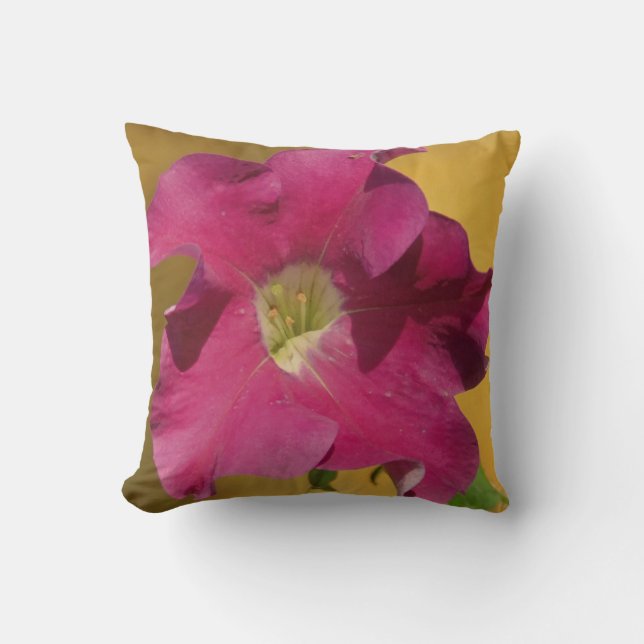Rosa petunia blomma, nästan enfärgat rosa kudde (Framsida)