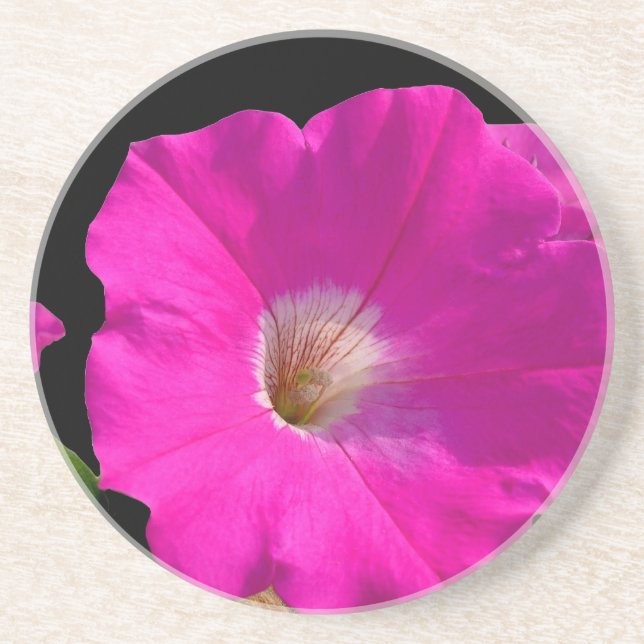 rosa petunia-blomma underlägg (Framsidan)