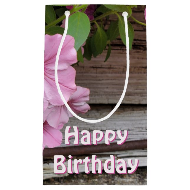 Rosa Petunia Blommar (Framsidan)