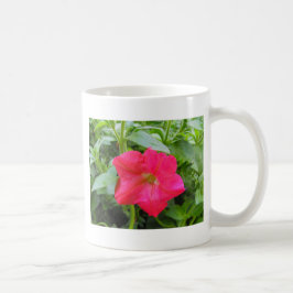 Rosa Petunia Flower Kaffemugg