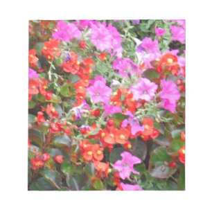 Rosa petunia och röda geranium anteckningsblock