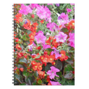Rosa petunia och röda geranium anteckningsbok med spiral