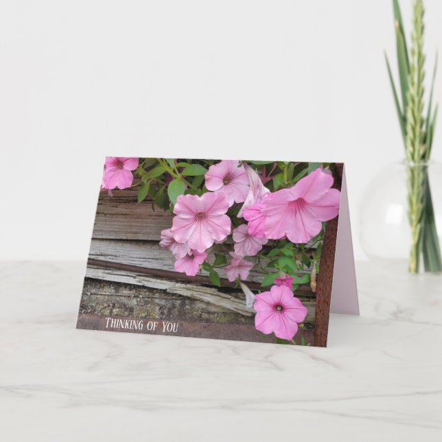 Rosa Petunia tänker på dig Kort (Framsida)