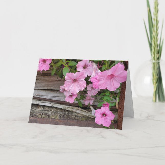 Rosa Petunias om Rustic Wood Kort (Framsida)