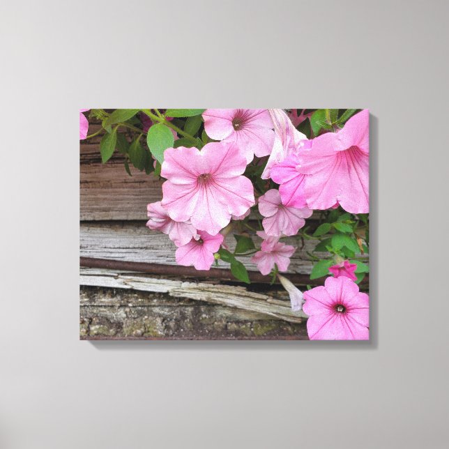 Rosa Petunias on Barn Wood Canvastryck (Framsida)
