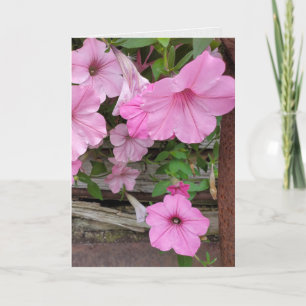 Rosa Petunias tänker på dig Kort