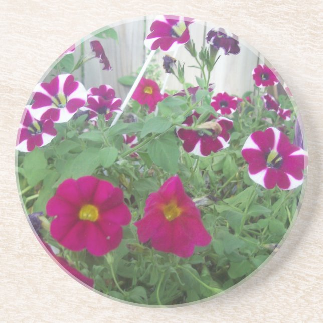 Rosa Petunias Underlägg Sandsten (Framsidan)