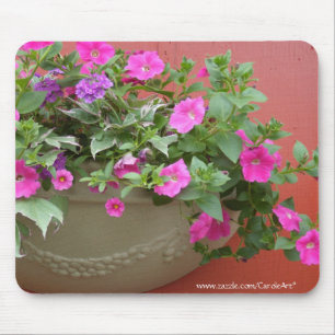 Rosa PetuniasPlanter Musmatta