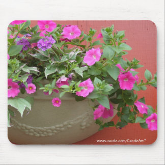 Rosa PetuniasPlanter Musmatta