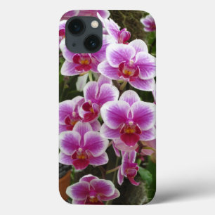 Rosa Phalaenopsis iPhone 13 Fodral