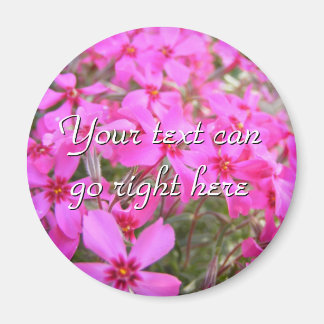 Rosa Phlox Flowers Magnet