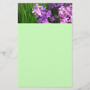 Rosa Phlox och Grass Summer Blommigt Brevpapper