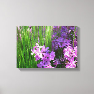 Rosa Phlox och Grass Summer Blommigt Canvastryck