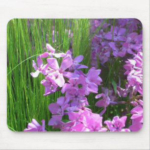 Rosa Phlox och Grass Summer Blommigt Musmatta