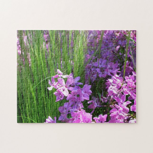 Rosa Phlox och Grass Summer Blommigt Pussel (Horisontell)