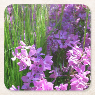 Rosa Phlox och Grass Summer Blommigt Underlägg Papper Kvadrat