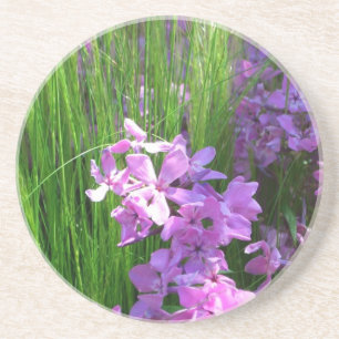 Rosa Phlox och Grass Summer Blommigt Underlägg Sandsten