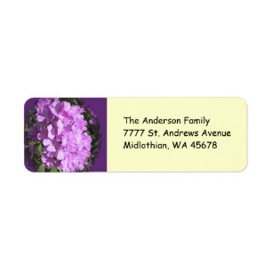 Rosa Phlox-returadressetikett Returadress Etikett