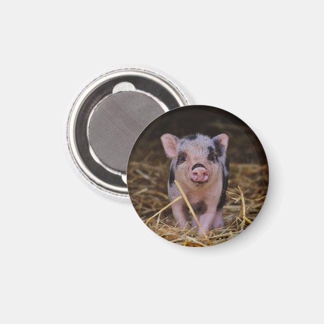 Rosa Piglet med Black Spots i Straw Magnet (Front/Back)