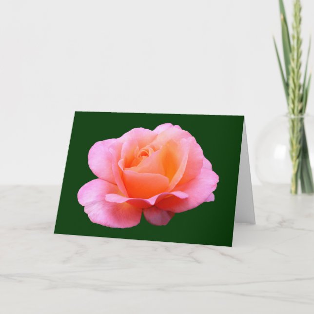 Rosa Pink - Blå Kort (Framsida)
